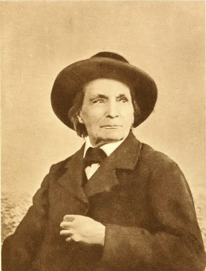 喜欢昆虫的孩子应该怎么培养,小时候喜欢昆虫长大了却不喜欢了