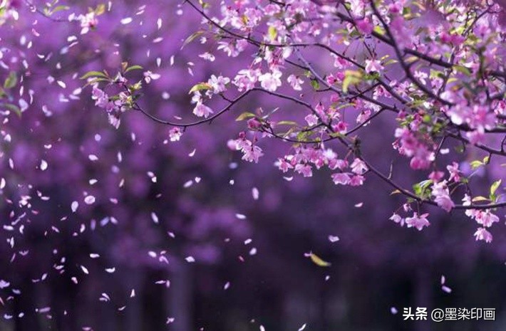 清明节拍摄风景图片,清明节全家踏青照片如何拍摄