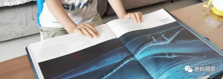 3-5岁儿童恐龙大全,0-6岁儿童恐龙合集