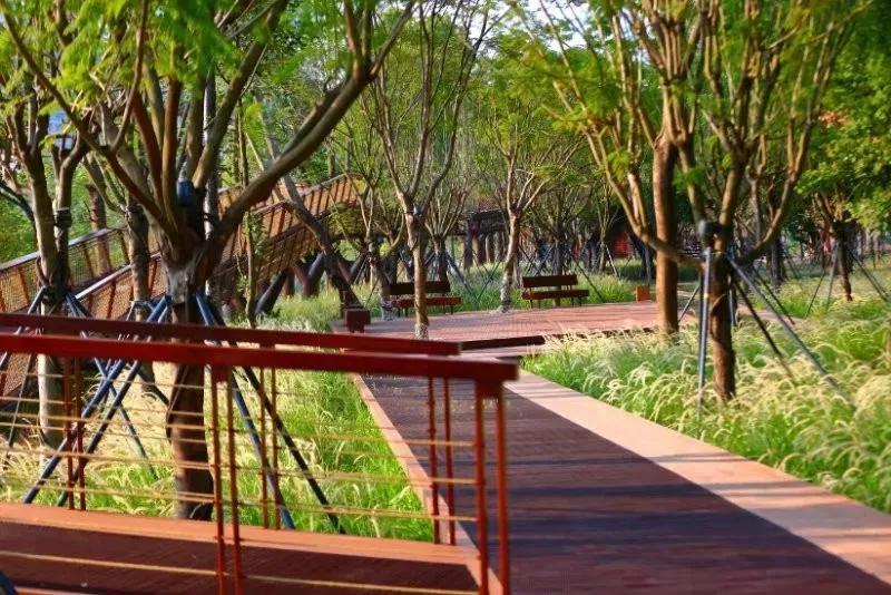 深圳塞纳河游玩,深圳版塞纳河风光