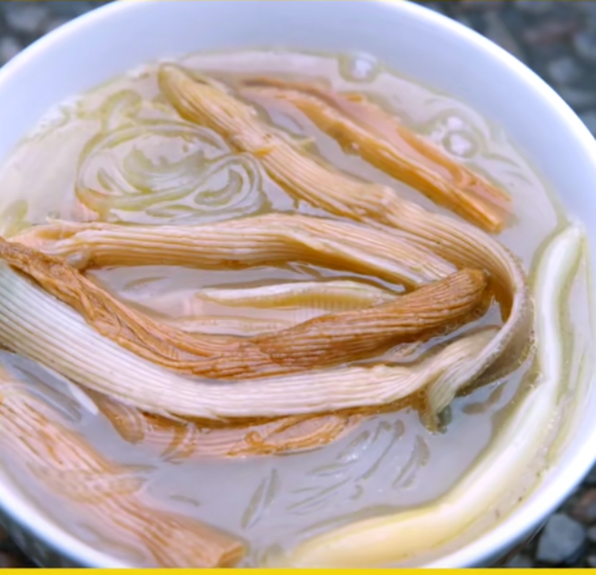 有关虫子的特点美食,美食虫子视频大全