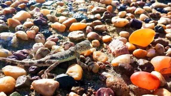 宝石雕刻收藏价值,古代精品石雕刻欣赏