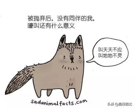 8个关于动物的冷知识,你不知道的二十条动物冷知识