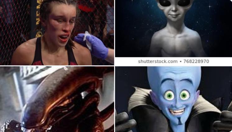 一龙恭喜张伟丽战胜乔安娜,最新消息一龙对张伟丽的看法