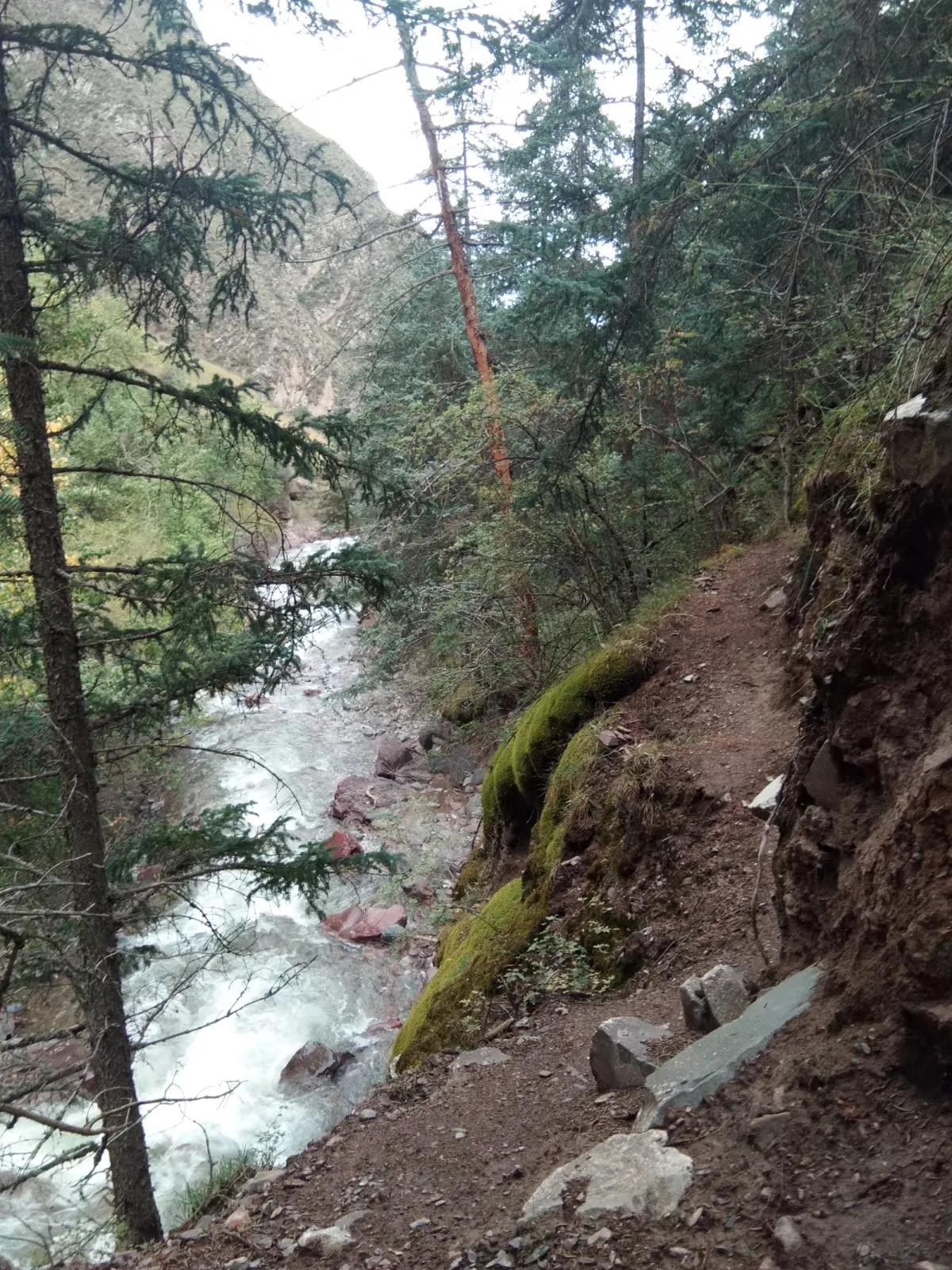野草莓有没有勾起你们的童年记忆,儿时野草莓