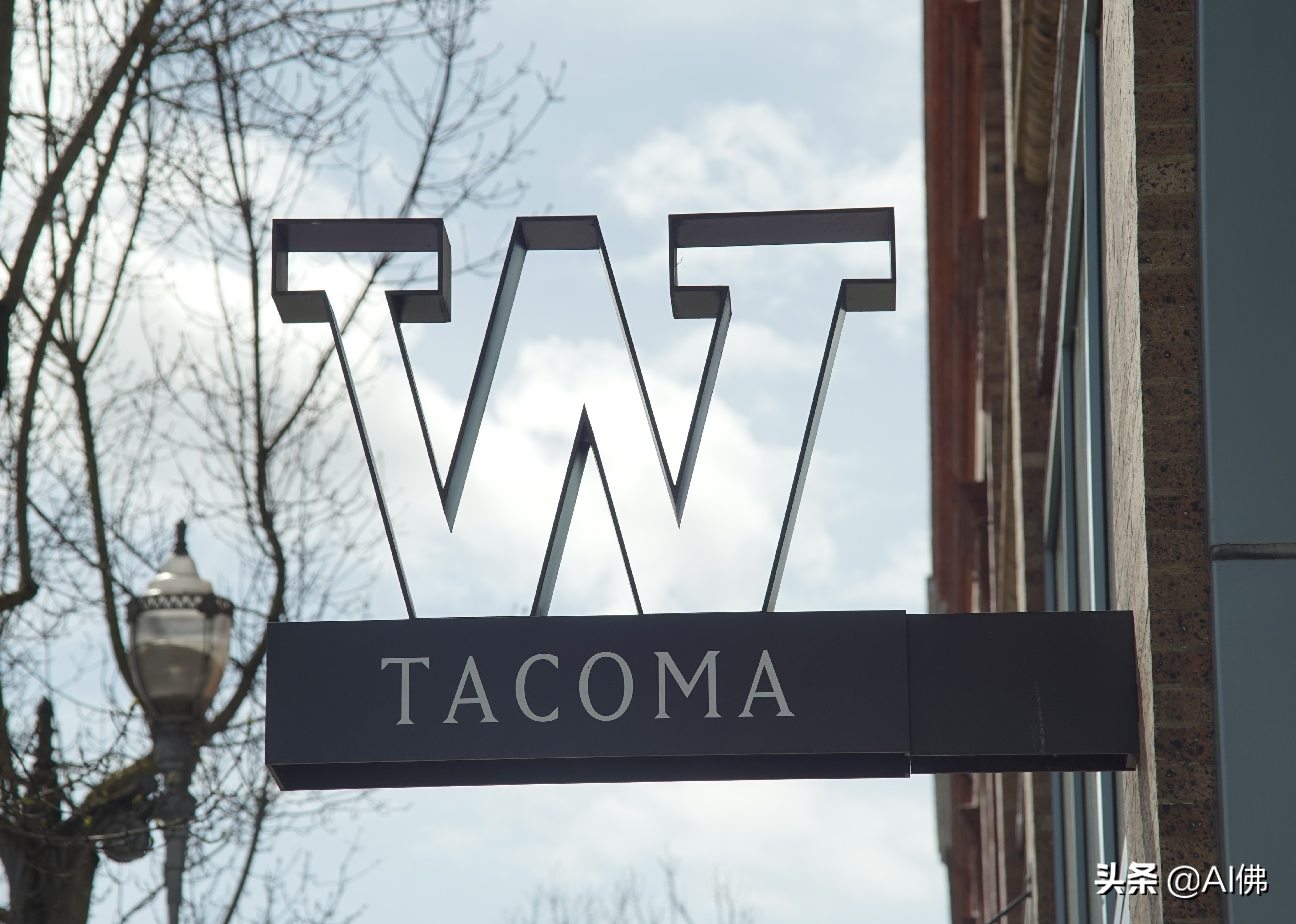 美国东部公立大学排行榜,美国各州最好的公立大学