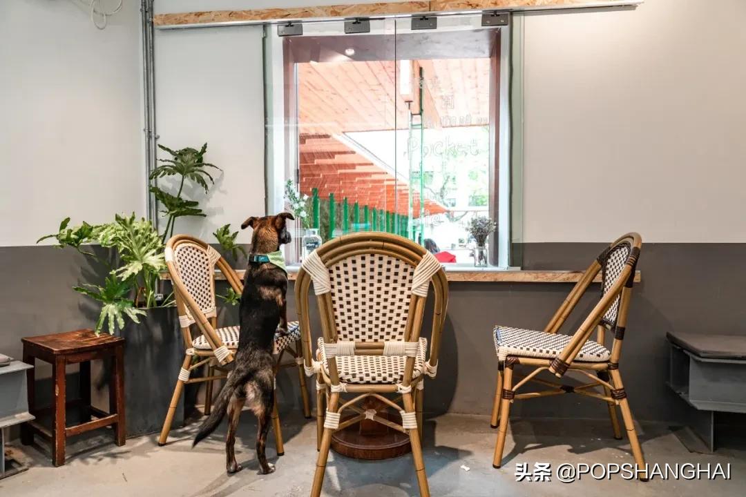 90后夫妻自己开咖啡馆,90后夫妻开咖啡馆