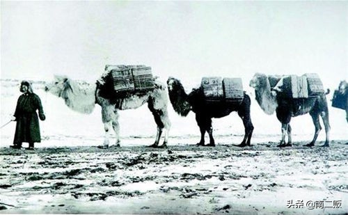 晋商乔氏家族,晋商乔氏成功的历史