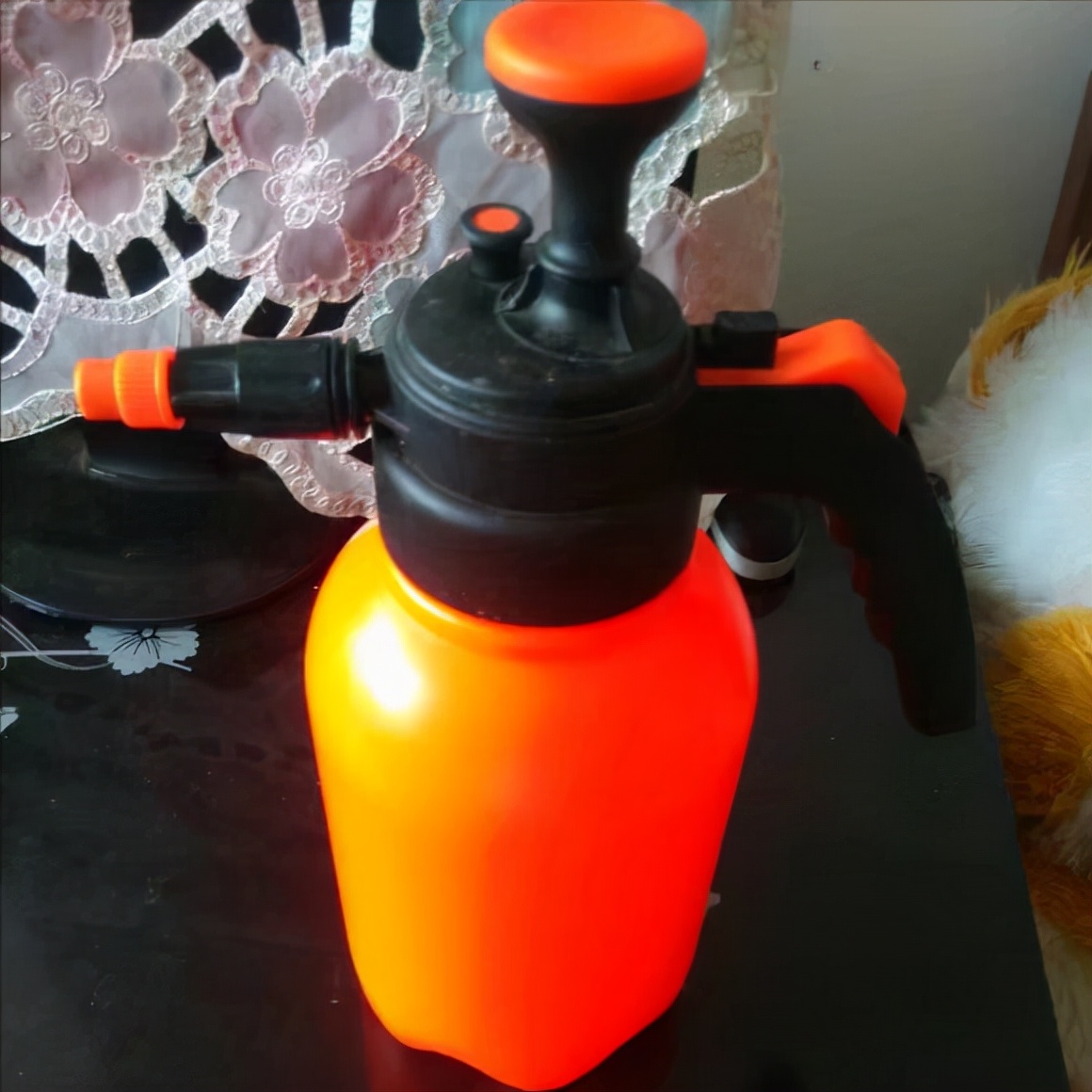 君子兰小苗冬天怎么养快速长新叶,刚买回来的君子兰小苗怎么处理