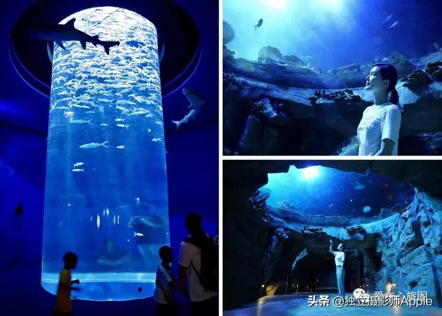 香港海洋公园自由行游玩攻略,香港旅游攻略香港海洋公园