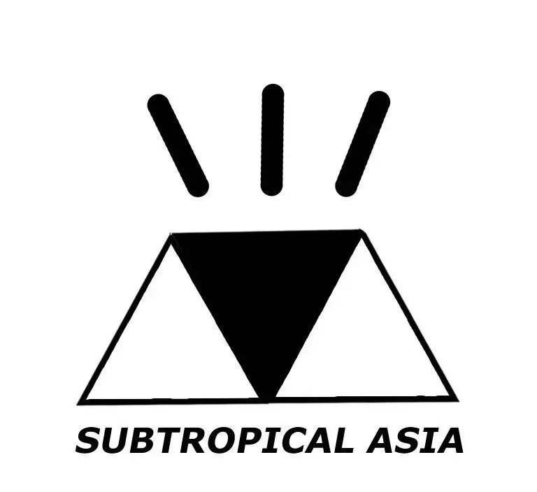 反抗！感性！力量！-巴西迪斯科朋克BLASTFEMME