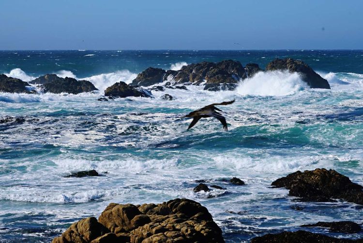 美国德州西部自由行,美国西海岸可以自由航行么