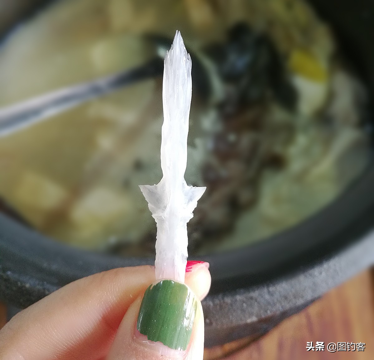 雅鱼是雅安特有的吗,雅鱼四川雅安市国家地理标志产品