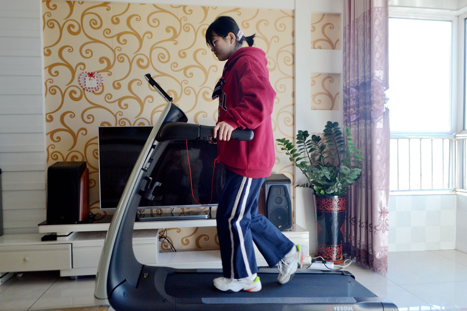 因为老罗入坑！入手了野小兽P30跑步机，坚持了半个月谈谈感受