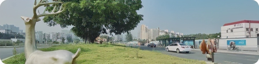 坪山最近三年房价走势,深圳坪山区近10年房价走势