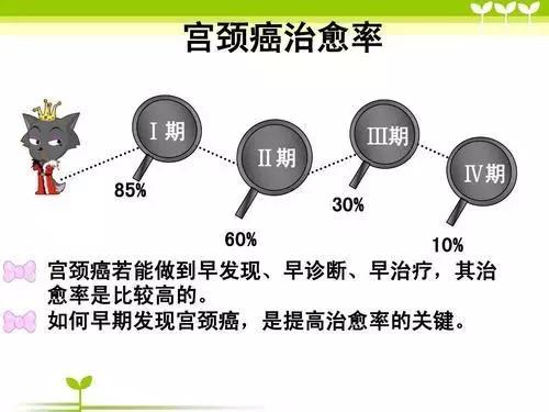 快收藏！2019年度港城最全两癌筛查知识！
