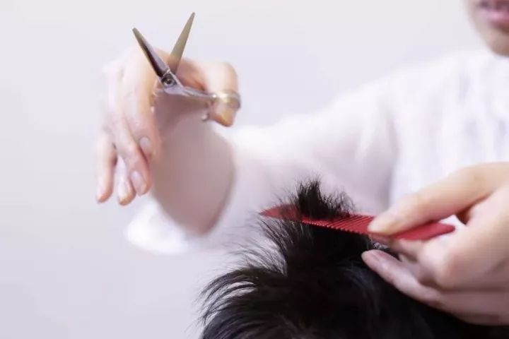 美发店为啥不能上市,美发行业为什么不能上市