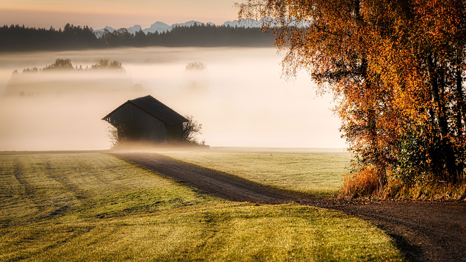 诗经国风卫风硕鼠注音,诗经卫风有狐全文注音版本
