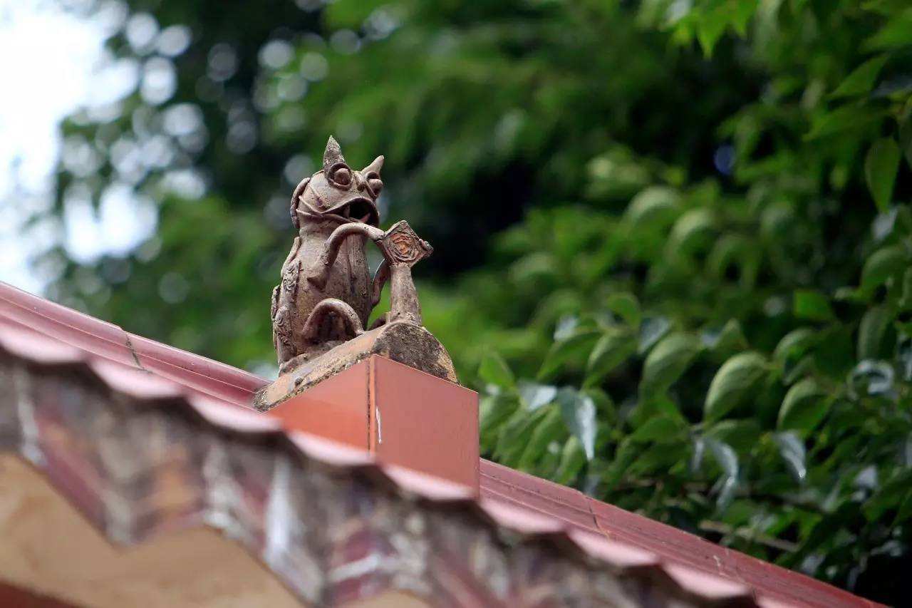 招财猫是源于哪种猫,视界旅行古人的千年吸猫史