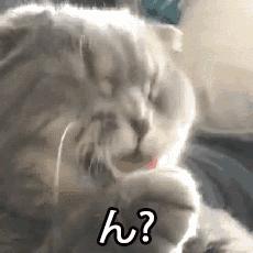 笑出猪叫盘点日漫,笑出猪叫原版pdd