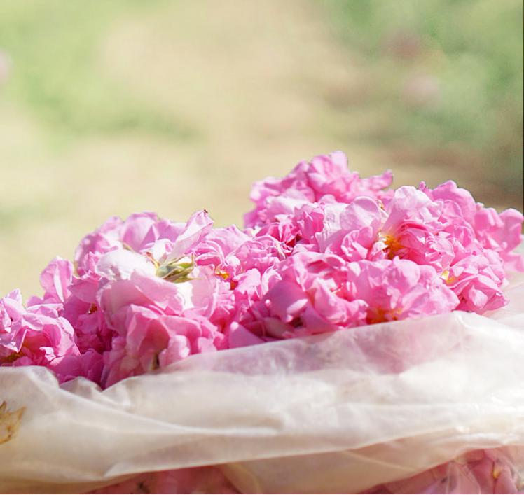 精油一般保质期多长时间,精油的有效期限是多久