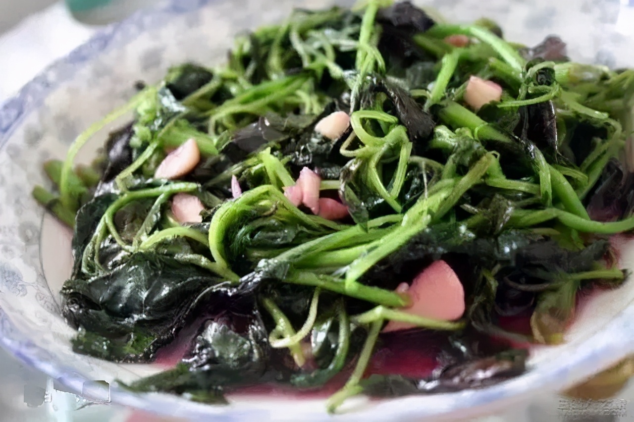 赶黄草喝酒,喝酒了能不能喝赶黄草