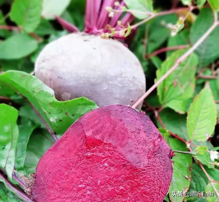 疫情过后口罩还会卖吗,疫情期间卖口罩