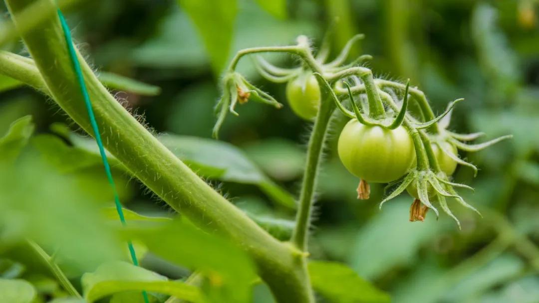 蓬莱自驾游旅游攻略路线推荐,蓬莱自驾游旅游攻略最佳路线