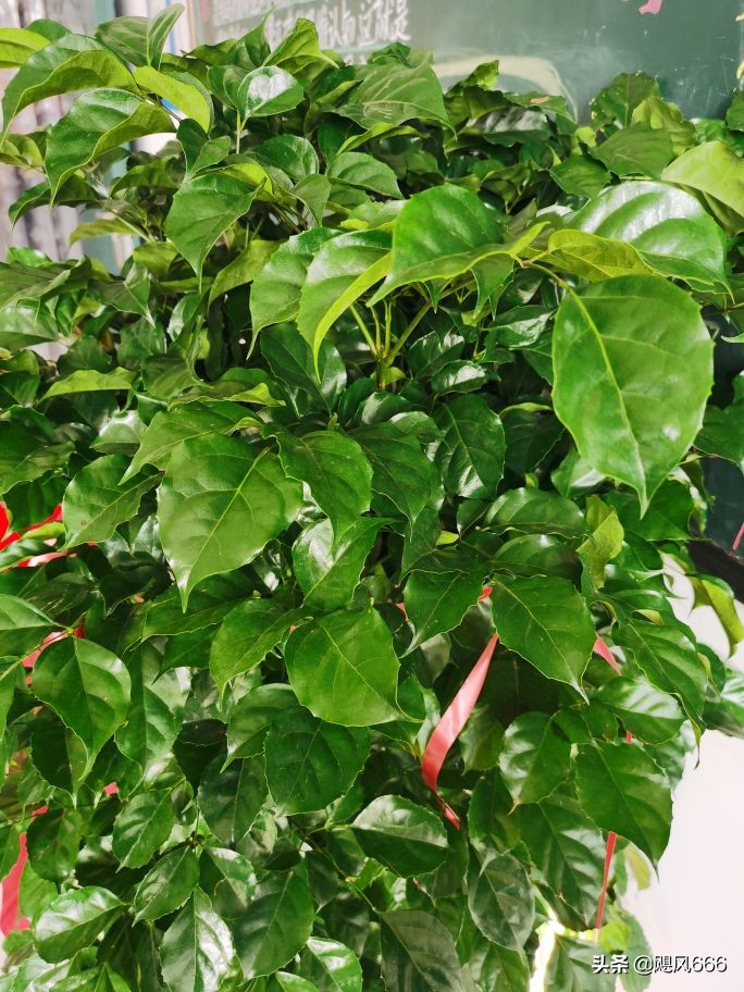 生命教育之殇～青少年自杀的思考