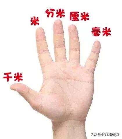 小学数学四年级下册单位换算,青岛版小学数学单位换算整顿