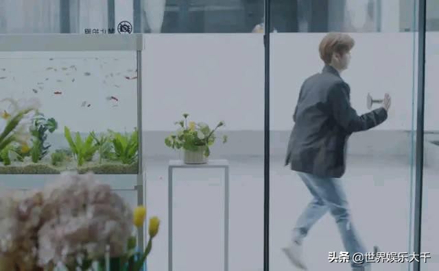 时光音乐会邓紫棋谈鹿晗出演mv,邓紫棋和鹿晗一起参加的综艺节目