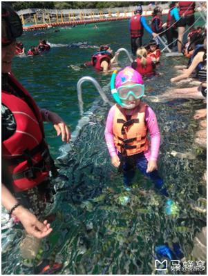 大马美食攻略,大马地方美食