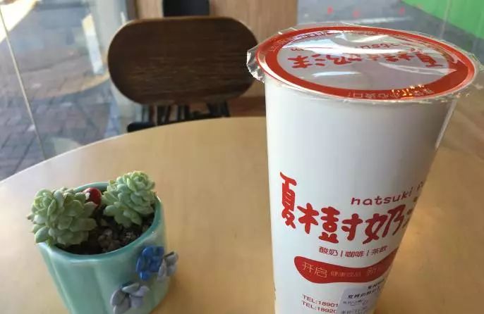 奶盖贡茶是什么,贡茶经典奶盖茶