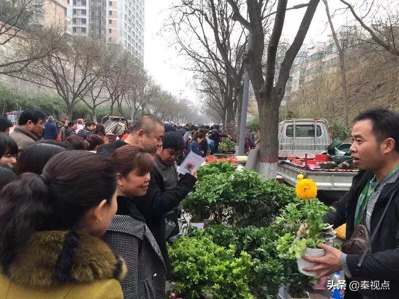 二月二龙抬头用逛庙会吗,二月二龙抬头看庙会