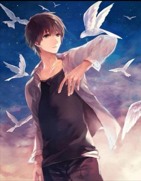 三本内容精彩的长篇精品小说推荐,推荐四本高质量已完结小说