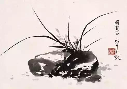 如何画兰花最好看的,君子兰花如何画