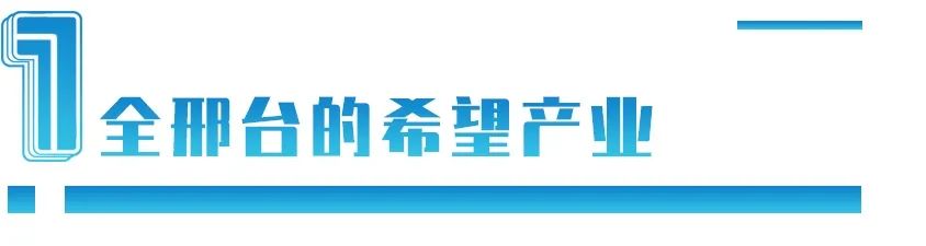 河北小镇崛起“自行车王国”：占50%国际市场，凭什么？