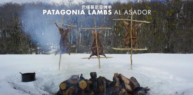 居家美食唯有美食与爱不可辜负,居家美食秀