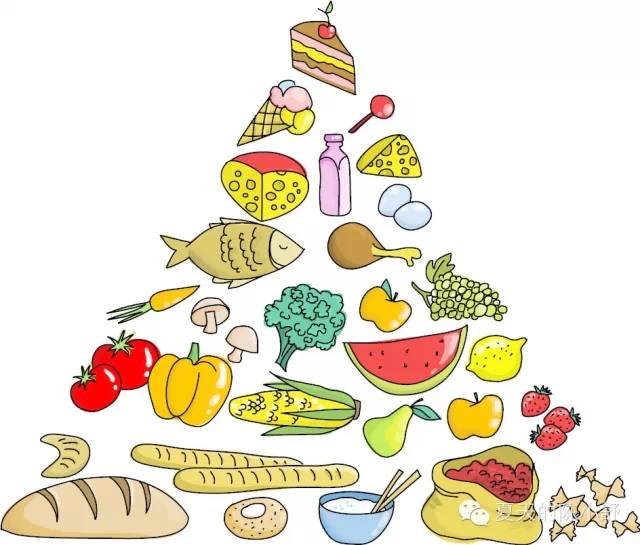 孕期饮食基本知识 (孕期饮食小知识)