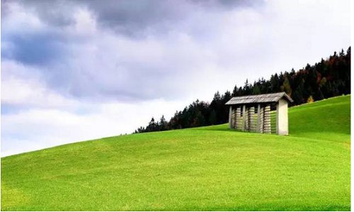 农村创业点子大全,农村创业新点子