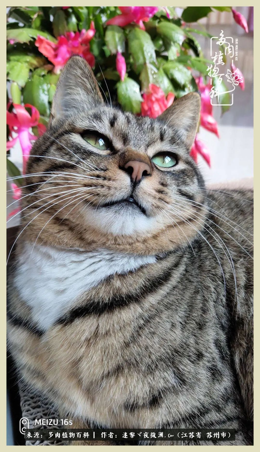 秋尽冬来岁月不居时节如流,岁月不居时节如流水