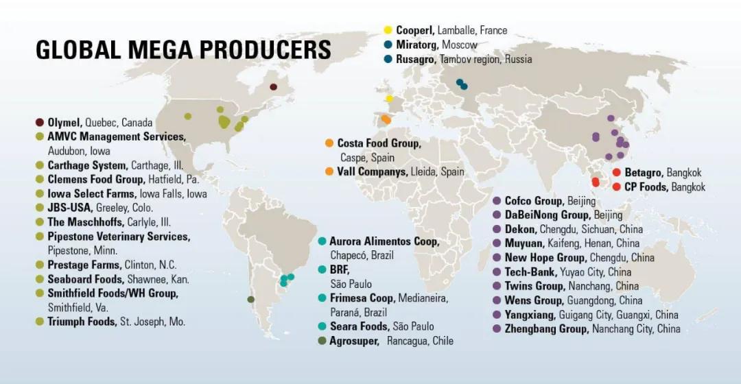 2020存栏母猪巨头排行,正大2018年母猪存栏