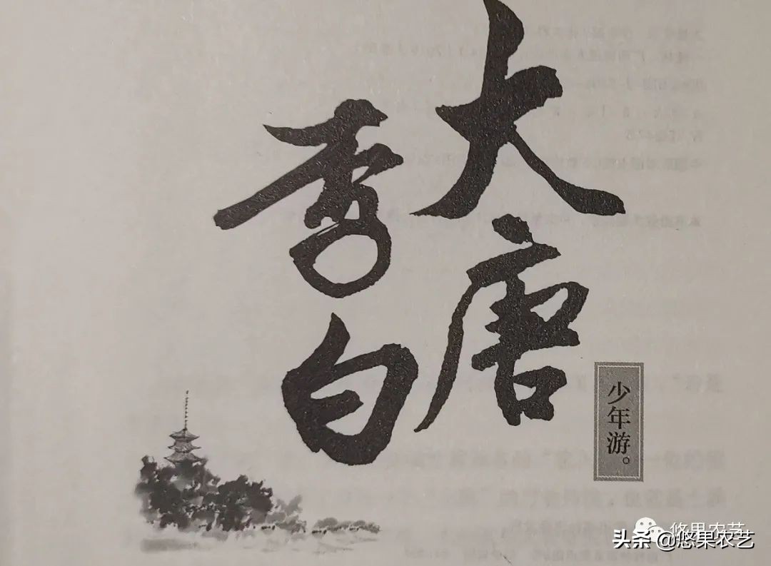 悠果读书（四十二）大唐李白-少年游