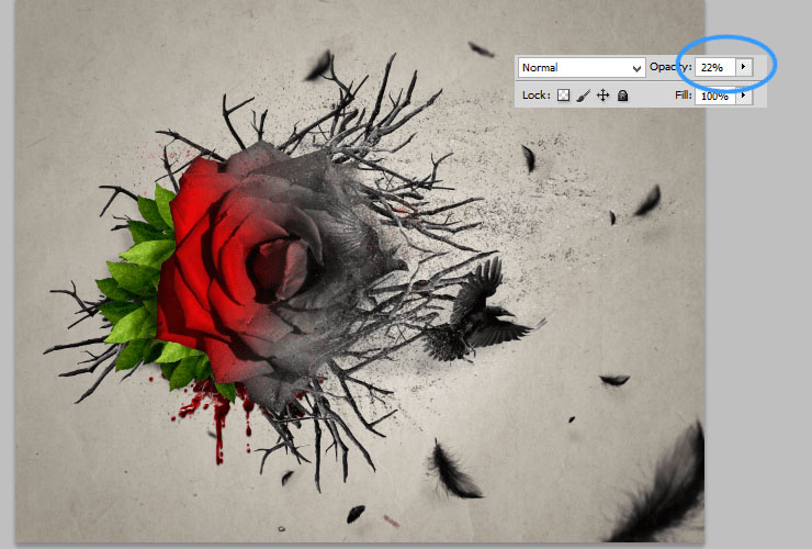 ps如何换花朵教程图解,ps怎么画枯萎的玫瑰