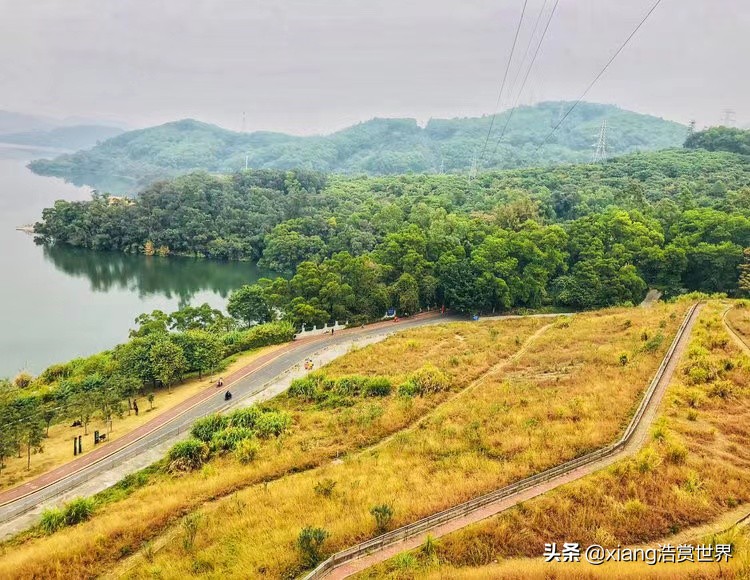 深圳最值得拍照的公园,深圳风景最好看的公园