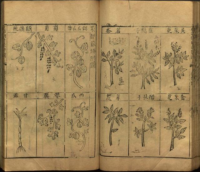 李时珍本草纲目书目录,李时珍本草纲目下卷