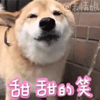 沭阳庆国庆节迎中秋,沭阳迎国庆节