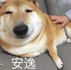 当代练实力有什么要求,有什么样的技术可以当代练