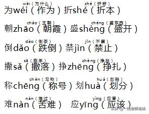 2020-2021三年级上册期中测试卷,部编语文三年级上册重点知识归纳