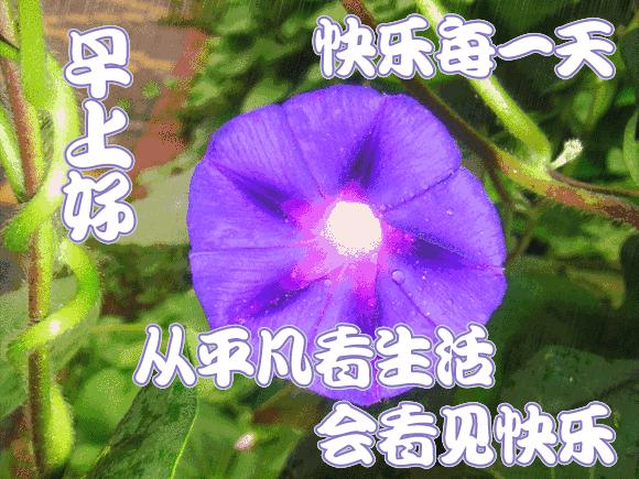 人生一辈子努力争取得失一切随缘,人生就是一个过客不必在意结果